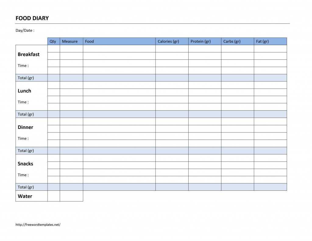 Food Diary Log Template for Word