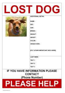Missing Dog Poster Template