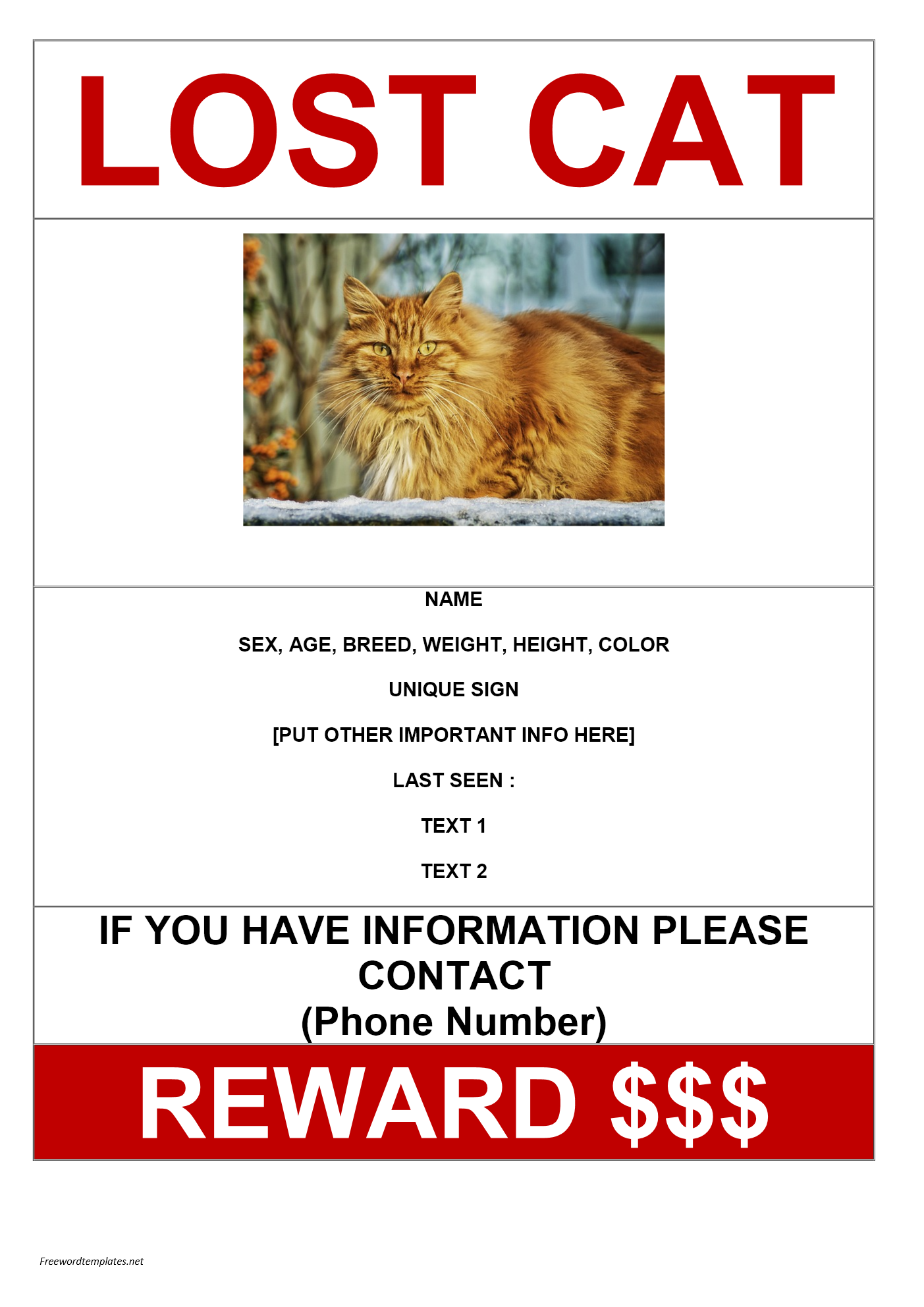 missing cat poster sample Archives | Freewordtemplates.net