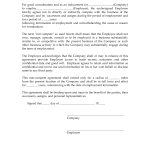 Non Compete Agreement Template