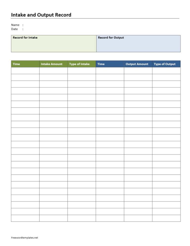 Intake and Output Record