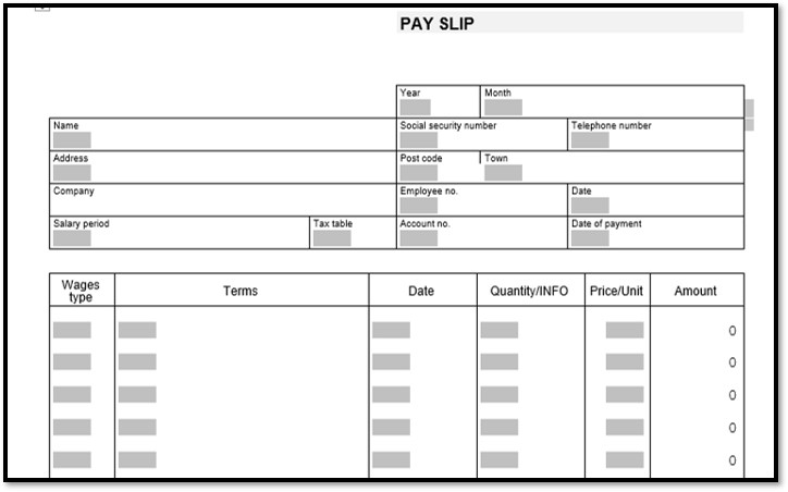 Pay Stub Templates